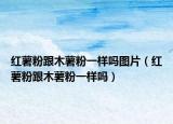 红薯粉跟木薯粉一样吗图片（红薯粉跟木薯粉一样吗）