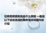 花呗借呗额度低是什么原因 一般是以下这些造成的具体情况详细内容介绍