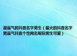 很霸气的抖音名字男生（最火的抖音名字男霸气抖音个性网名昵称男生可爱）