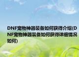 DNF宠物神器装备如何获得介绍(DNF宠物神器装备如何获得详细情况如何)