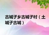 古城子乡古城子村（土城子古城）