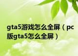 gta5游戏怎么全屏（pc版gta5怎么全屏）