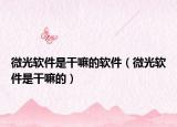 微光软件是干嘛的软件（微光软件是干嘛的）