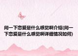 问一下恋爱是什么感觉啊介绍(问一下恋爱是什么感觉啊详细情况如何)