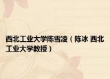 西北工业大学陈雪凌（陈冰 西北工业大学教授）