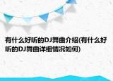 有什么好听的DJ舞曲介绍(有什么好听的DJ舞曲详细情况如何)