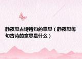 静夜思古诗诗句的意思（静夜思每句古诗的意思是什么）