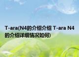 T-ara(N4的介绍介绍 T-ara N4的介绍详细情况如何)