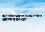 电子评标资格预审介绍(电子评标资格预审详细情况如何)