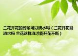 兰花开花的时候可以浇水吗（兰花开花能浇水吗 兰花这样浇才能开花不断）