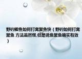 野钓鲫鱼如何打窝聚鱼快（野钓如何打窝聚鱼 方法虽然怪,但是诱鱼聚鱼确实有效）