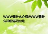 WWW是什么介绍(WWW是什么详细情况如何)