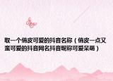 取一个俏皮可爱的抖音名称（俏皮一点又蛮可爱的抖音网名抖音昵称可爱呆萌）