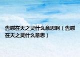 告慰在天之灵什么意思啊（告慰在天之灵什么意思）