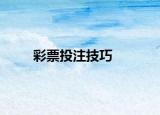 彩票投注技巧