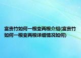 富贵竹如何一根变两根介绍(富贵竹如何一根变两根详细情况如何)