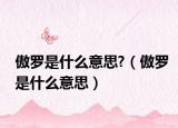 傲罗是什么意思?（傲罗是什么意思）