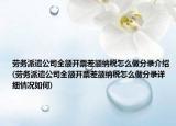 劳务派遣公司全额开票差额纳税怎么做分录介绍(劳务派遣公司全额开票差额纳税怎么做分录详细情况如何)