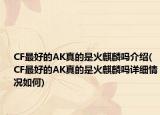 CF最好的AK真的是火麒麟吗介绍(CF最好的AK真的是火麒麟吗详细情况如何)