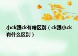 小ck跟ck有啥区别（ck跟小ck有什么区别）