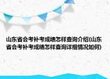山东省会考补考成绩怎样查询介绍(山东省会考补考成绩怎样查询详细情况如何)