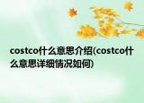 costco什么意思介绍(costco什么意思详细情况如何)