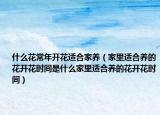 什么花常年开花适合家养（家里适合养的花开花时间是什么家里适合养的花开花时间）