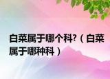 白菜属于哪个科?（白菜属于哪种科）