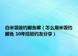 白米饭能钓鲫鱼嘛（怎么用米饭钓鲫鱼 10年经验钓友分享）