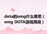 dota的omg什么意思（omg DOTA游戏用词）
