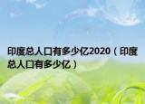 印度总人口有多少亿2020（印度总人口有多少亿）