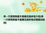 养一只宠物狗是不是要花很多钱介绍(养一只宠物狗是不是要花很多钱详细情况如何)