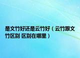 是文竹好还是云竹好（云竹跟文竹区别 区别在哪里）