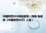 中国刑警803周扬爱情（周扬 电视剧《中国刑警803》人物）