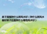 房子周围种什么树风水好（种什么树风水最好房子后面种什么植物风水好）
