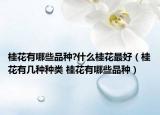 桂花有哪些品种?什么桂花最好（桂花有几种种类 桂花有哪些品种）