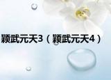 颖武元天3（颖武元天4）