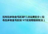 拉布拉多和金毛区别?三点完美区分（拉布拉多和金毛区别 5个区别帮助你区分）