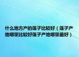 什么地方产的莲子比较好（莲子产地哪里比较好莲子产地哪里最好）