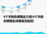 6个字的伤感网名介绍(6个字的伤感网名详细情况如何)