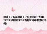 网球王子和新网球王子有何区别介绍(网球王子和新网球王子有何区别详细情况如何)
