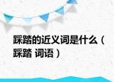踩踏的近义词是什么（踩踏 词语）