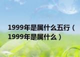 1999年是属什么五行（1999年是属什么）