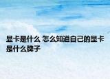显卡是什么 怎么知道自己的显卡是什么牌子