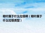 粽叶属于什么垃圾啊（粽叶属于什么垃圾类型）
