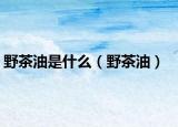 野茶油是什么（野茶油）