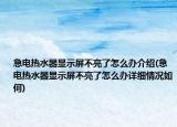 急电热水器显示屏不亮了怎么办介绍(急电热水器显示屏不亮了怎么办详细情况如何)
