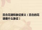 百合花语和象征意义（百合的花语是什么象征）