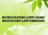 猫扑情侣去死去死团什么意思?介绍(猫扑情侣去死去死团什么意思?详细情况如何)