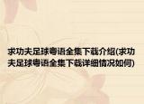 求功夫足球粤语全集下载介绍(求功夫足球粤语全集下载详细情况如何)